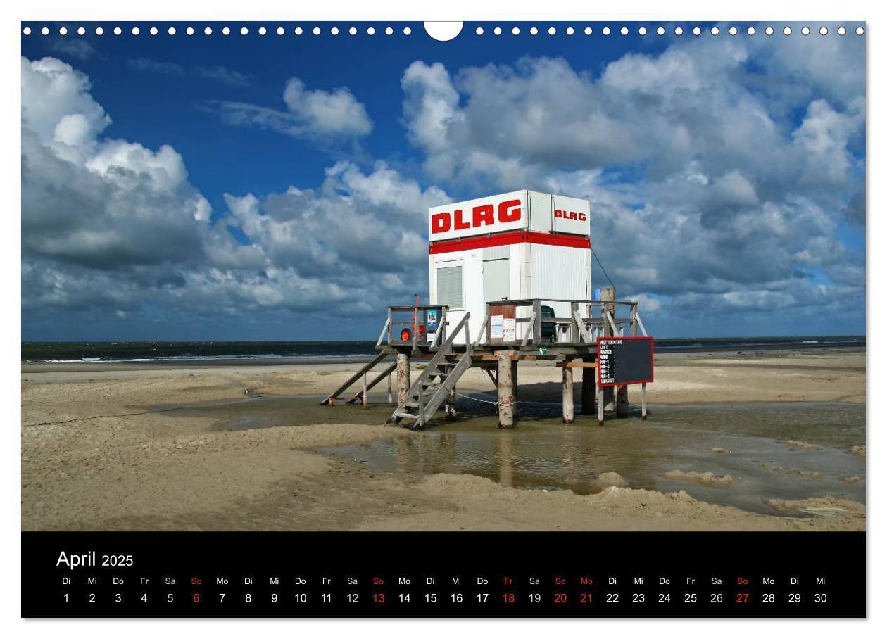 Bild: 9783435588633 | Amrum, Perle der Nordsee (Wandkalender 2025 DIN A3 quer), CALVENDO...