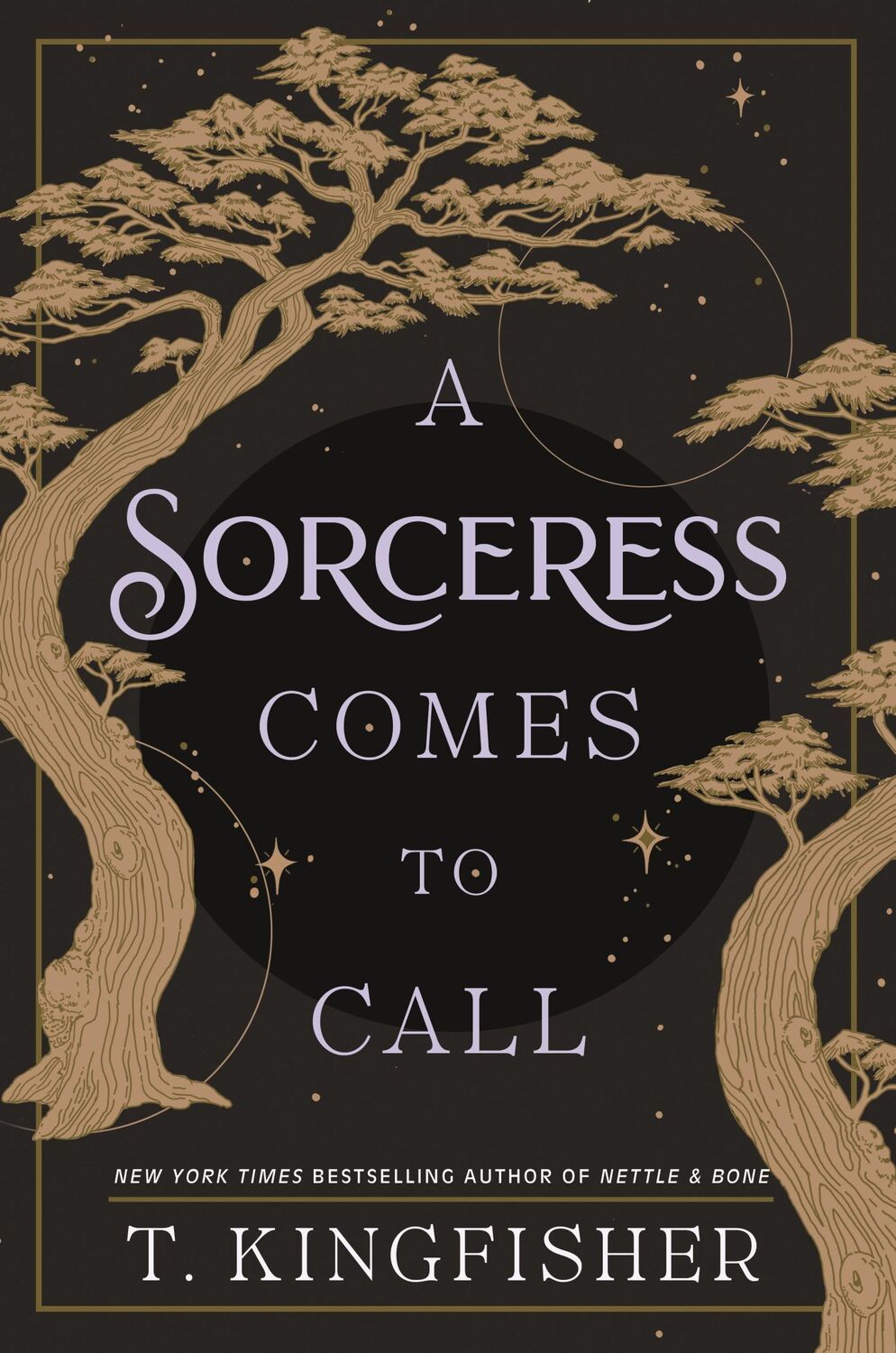 Cover: 9781250244079 | A Sorceress Comes to Call | T. Kingfisher | Buch | Englisch | 2024