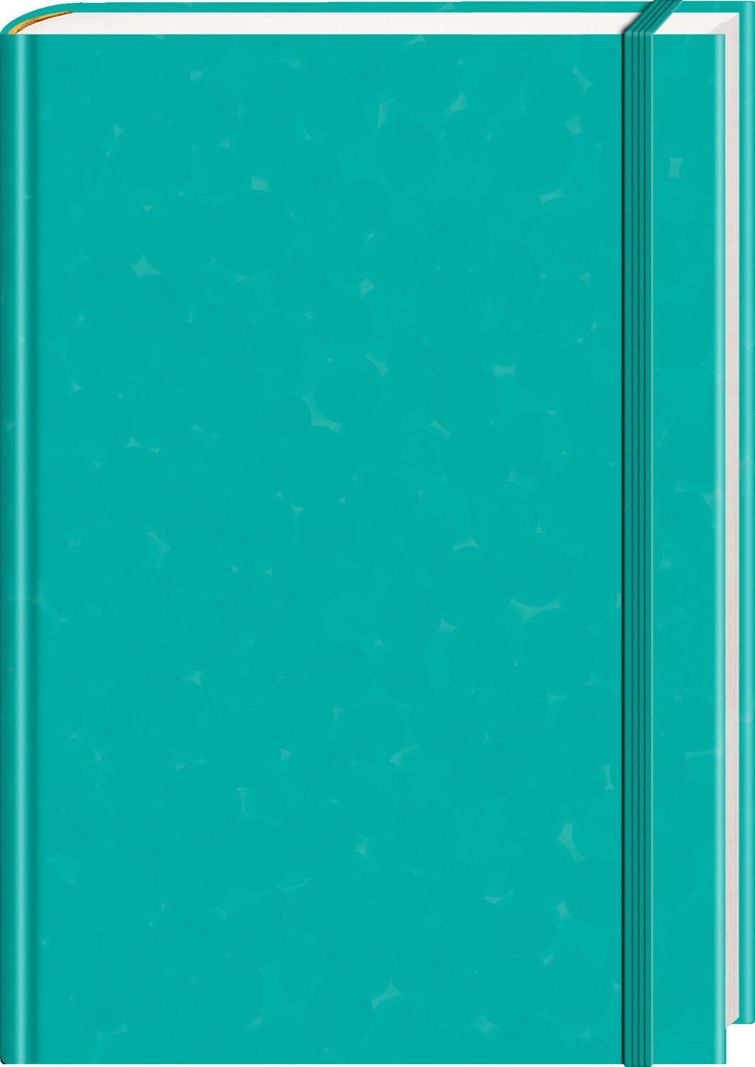 Cover: 9783730613399 | Anaconda Notizbuch/Notebook/Blank Book, punktiert, textiles...