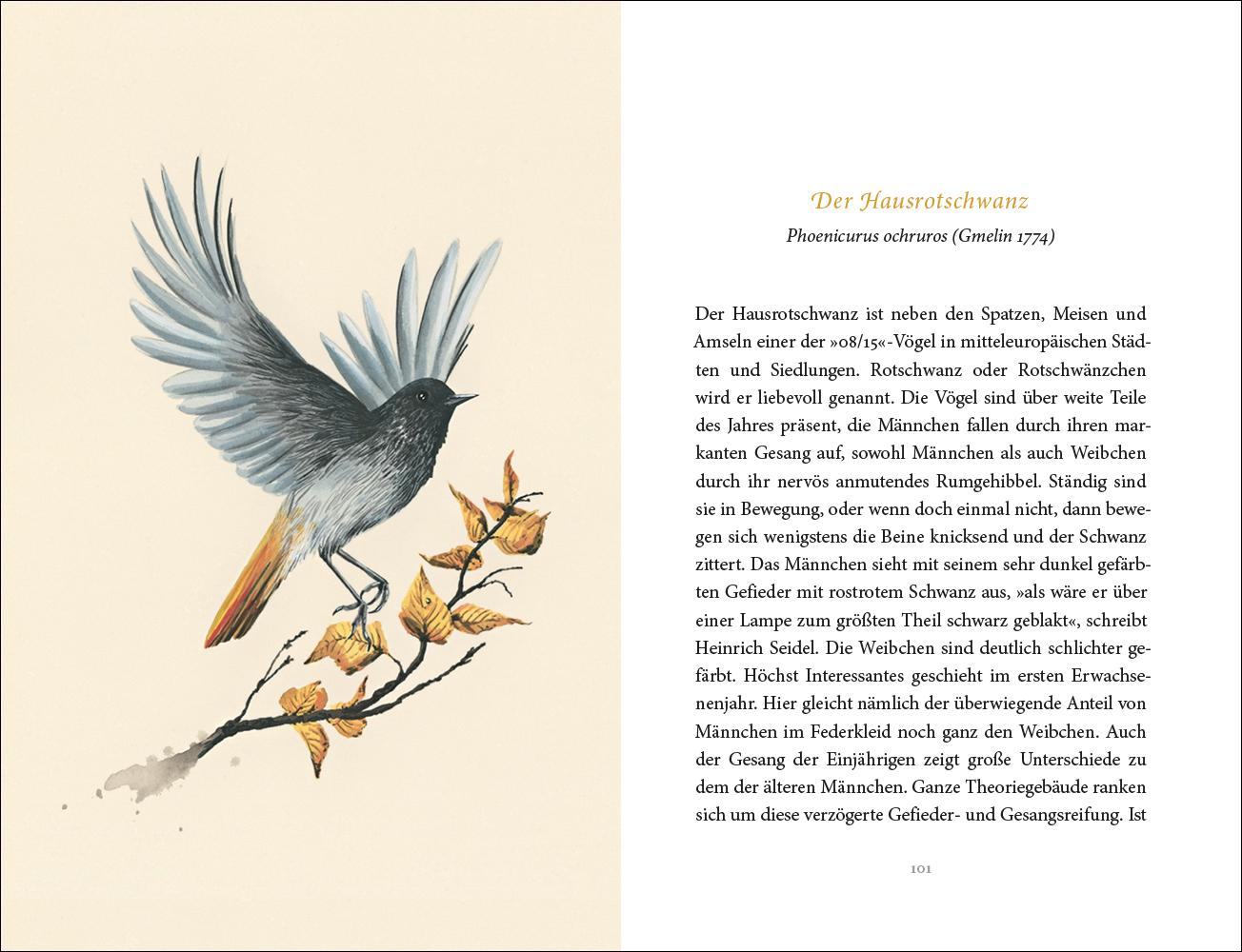 Bild: 9783458195481 | Vom Glück des Vogelgesangs | Silke Kipper | Buch | Insel-Bücherei