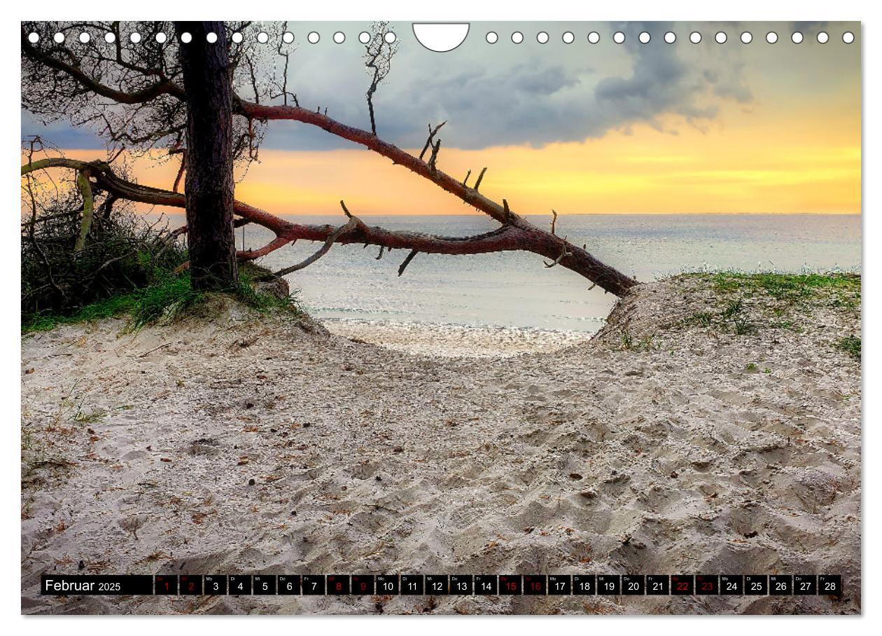 Bild: 9783435024179 | Fischland - Darß- Zingst (Wandkalender 2025 DIN A4 quer), CALVENDO...