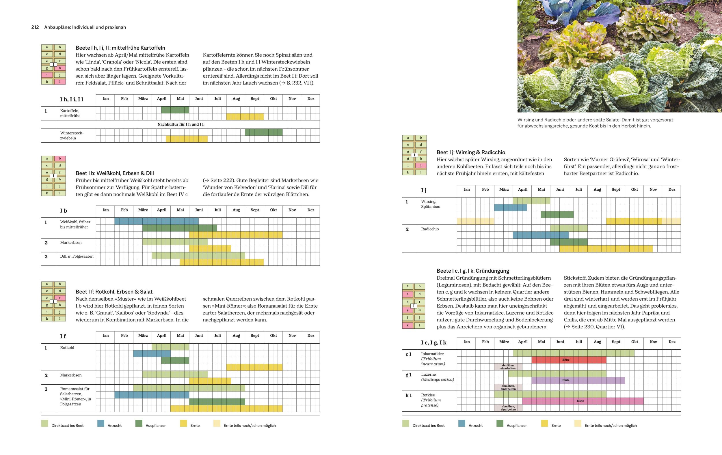 Bild: 9783833897030 | Das große GU Handbuch Gemüse-Anbauplanung | Joachim Mayer | Buch