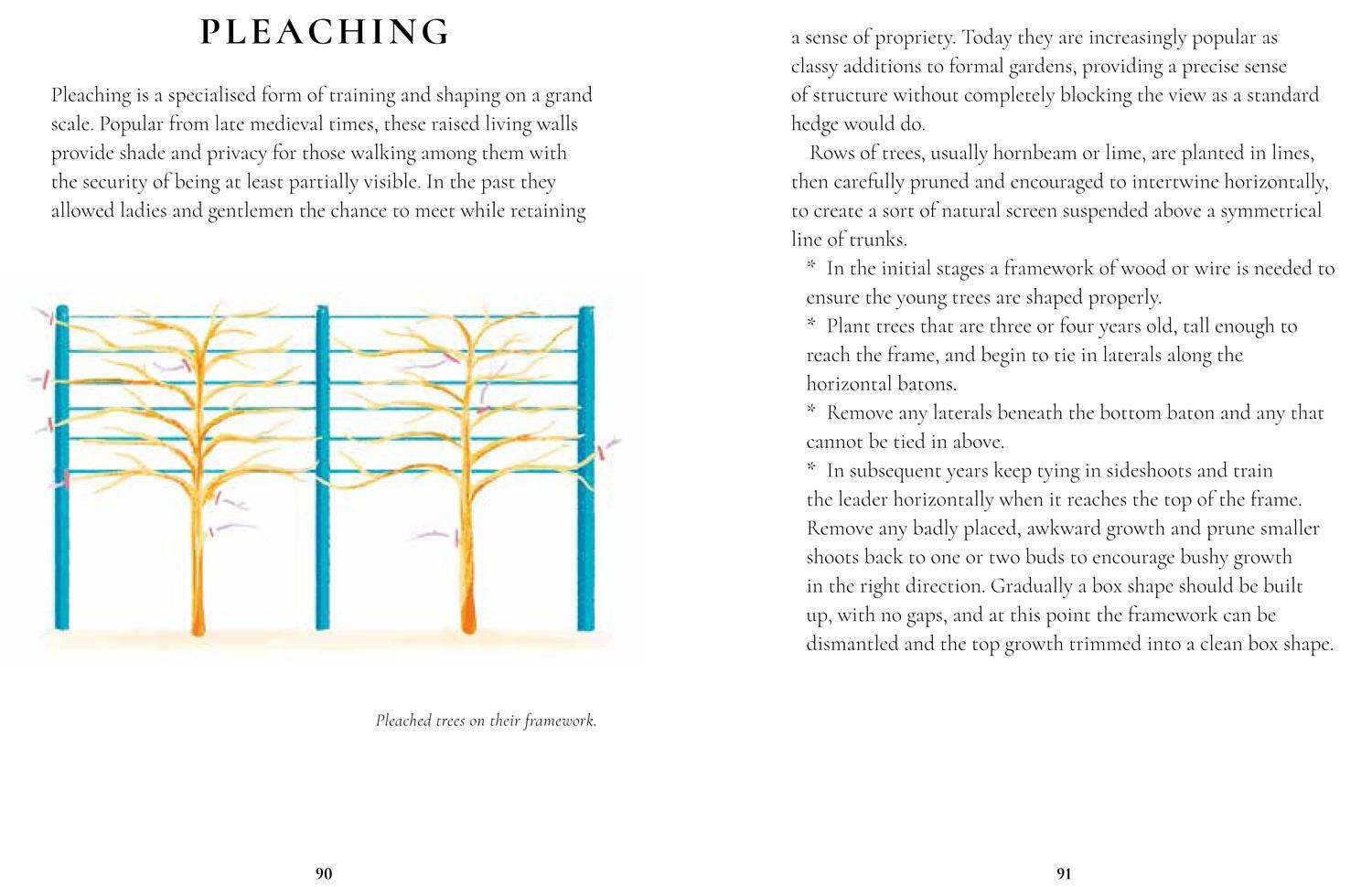 Bild: 9781911358718 | Perfect Pruning | Simon Akeroyd (u. a.) | Buch | Gebunden | Englisch