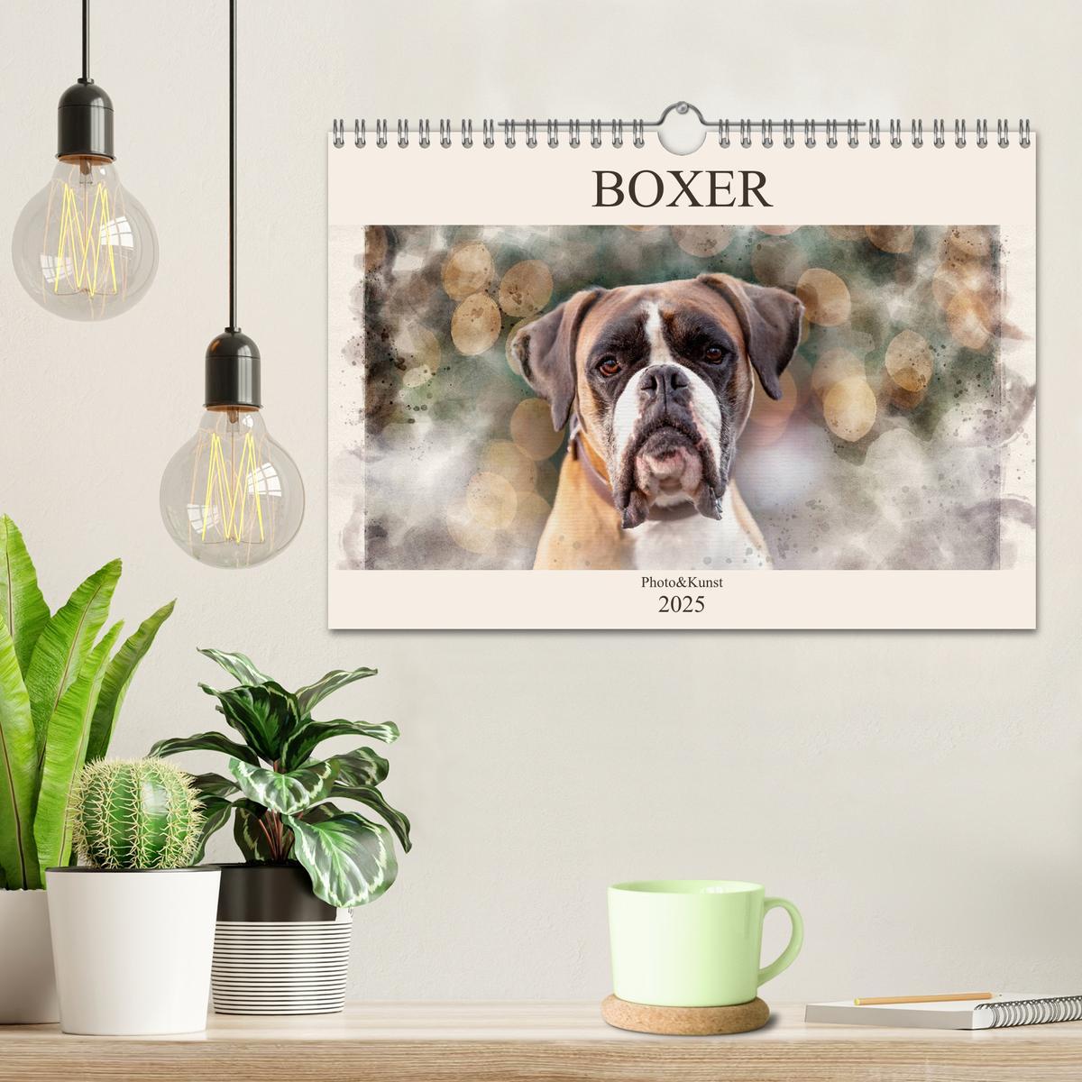 Bild: 9783435134700 | Boxer Photo&amp;Kunst (Wandkalender 2025 DIN A4 quer), CALVENDO...