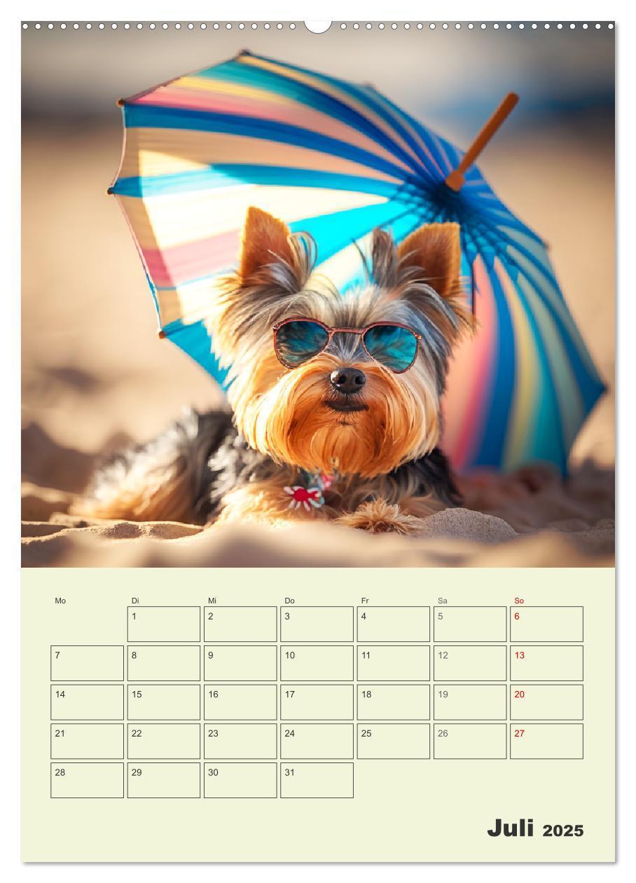 Bild: 9783435874200 | Yorkshire Terrier. Fröhliche Energiebündel in Aktion (Wandkalender...