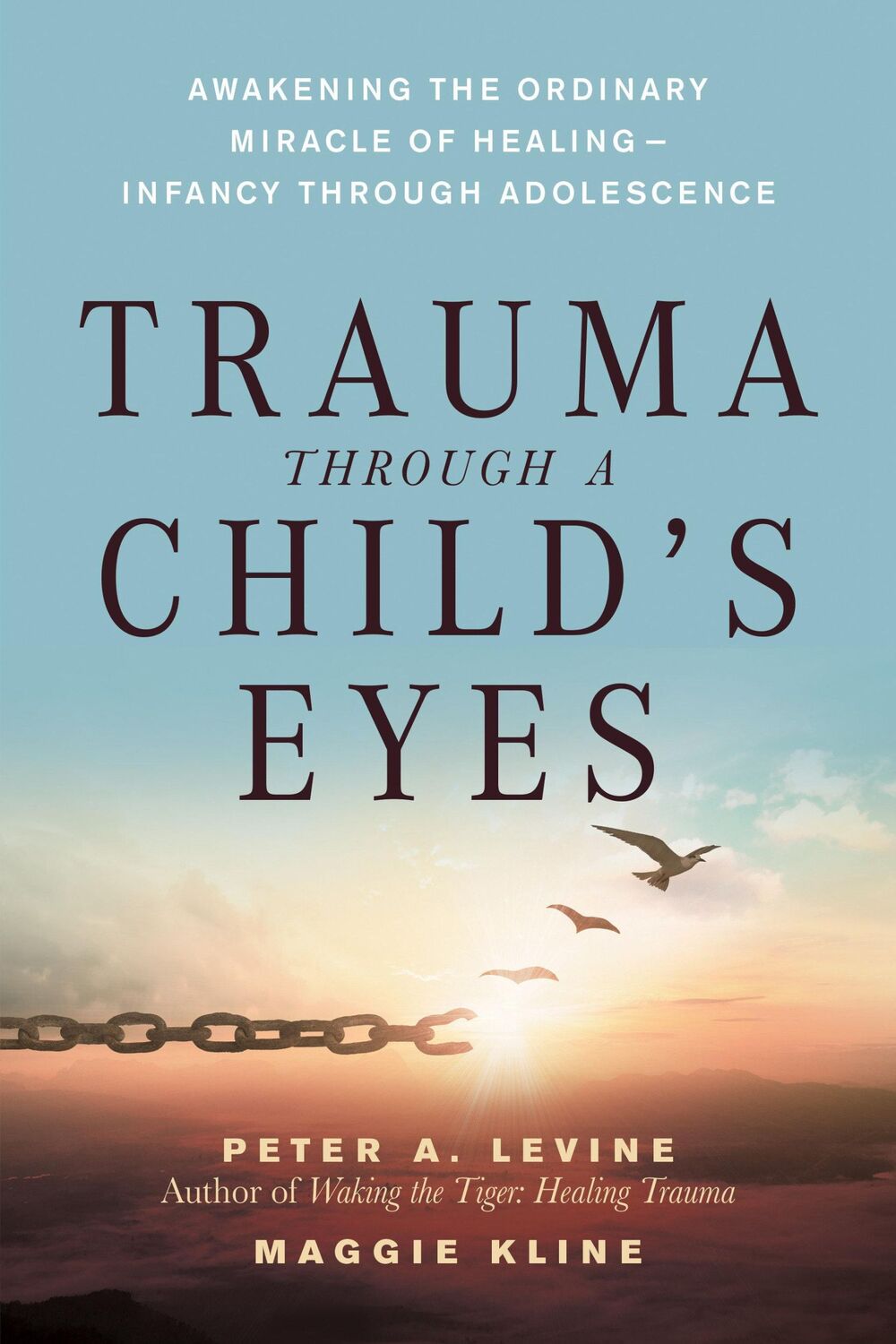 Cover: 9781556436307 | Trauma Through a Child's Eyes: Awakening the Ordinary Miracle of...