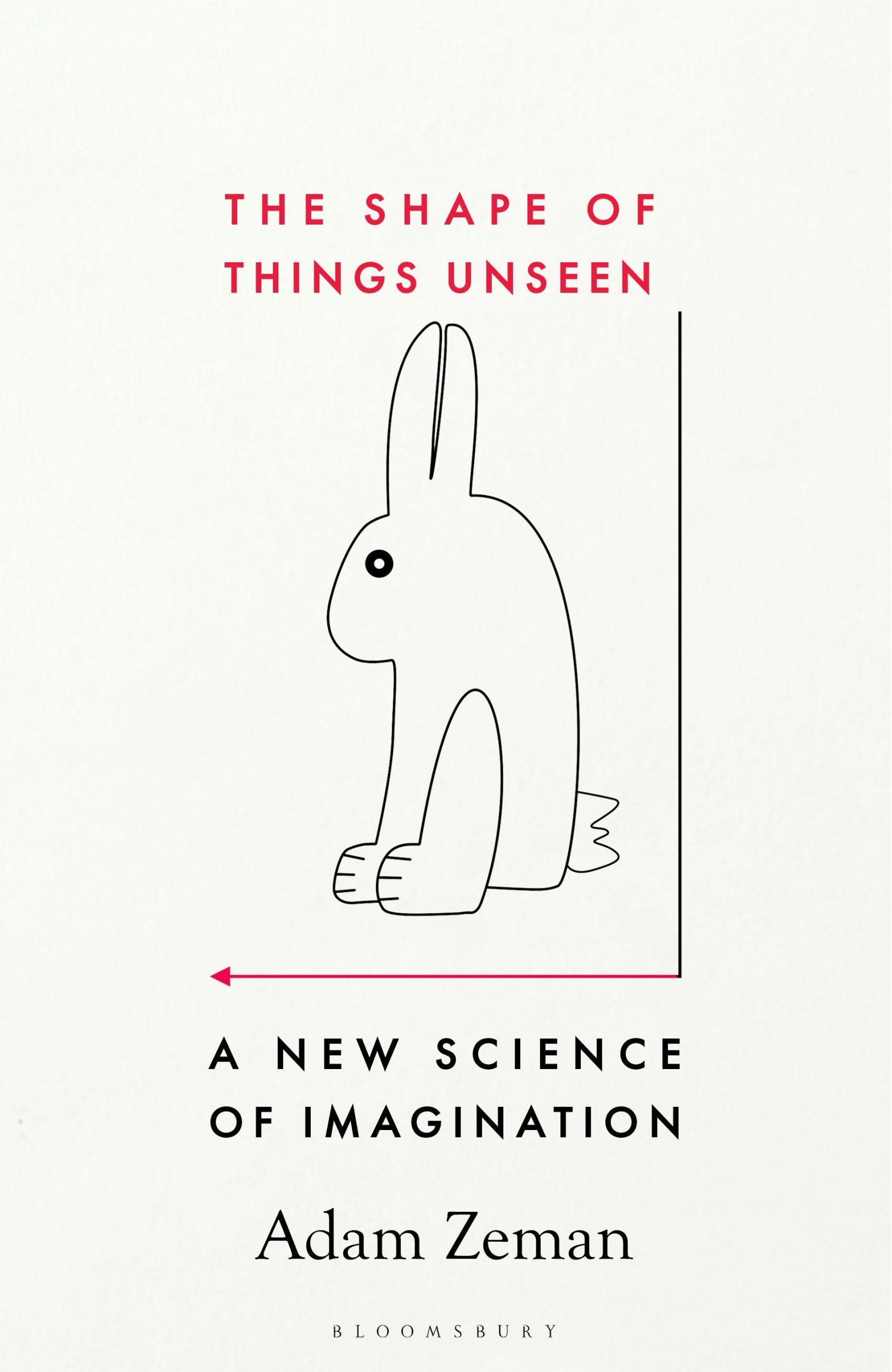 Cover: 9781526609755 | The Shape of Things Unseen | A New Science of Imagination | Adam Zeman