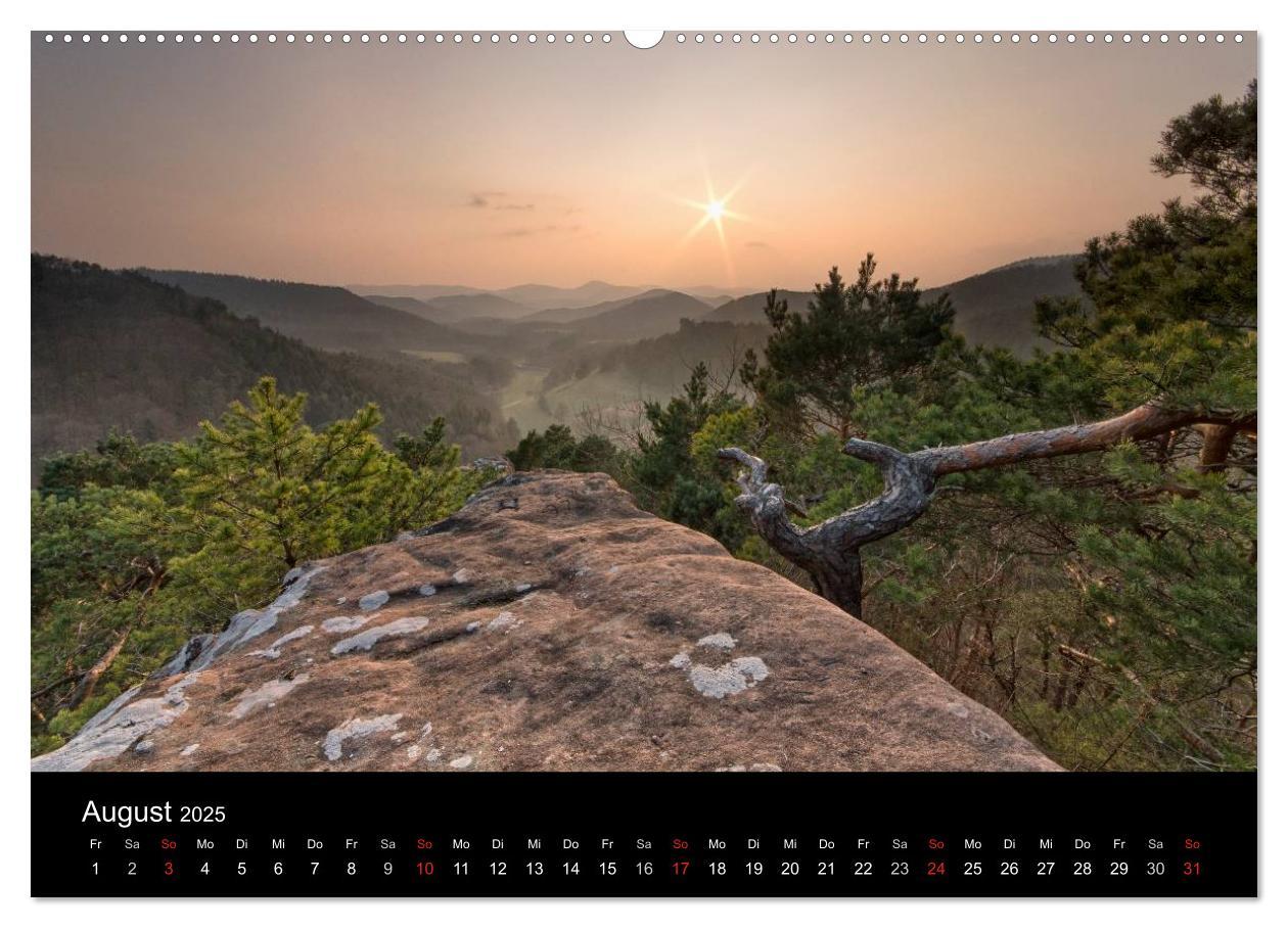 Bild: 9783435586479 | Mystischer Pfälzer Wald (hochwertiger Premium Wandkalender 2025 DIN...