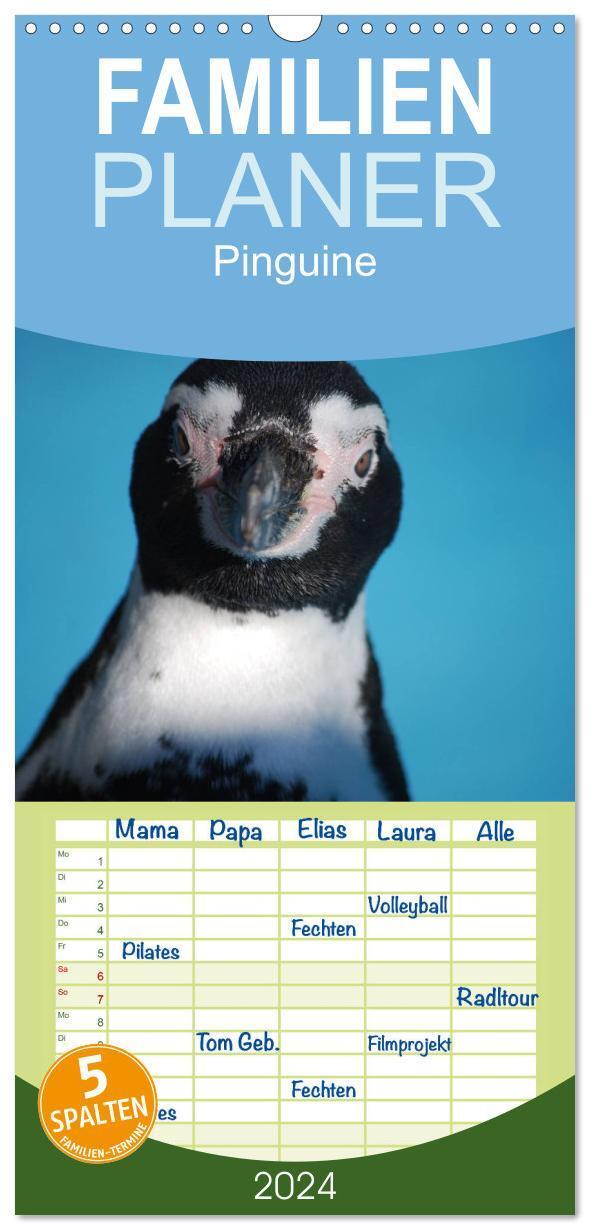 Cover: 9783383096150 | Familienplaner 2024 - Pinguine 2024 mit 5 Spalten (Wandkalender, 21...