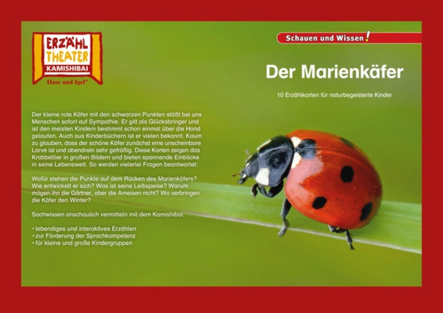 Cover: 4260505830793 | Der Marienkäfer / Kamishibai Bildkarten | Box | 10 S. | Deutsch | 2018