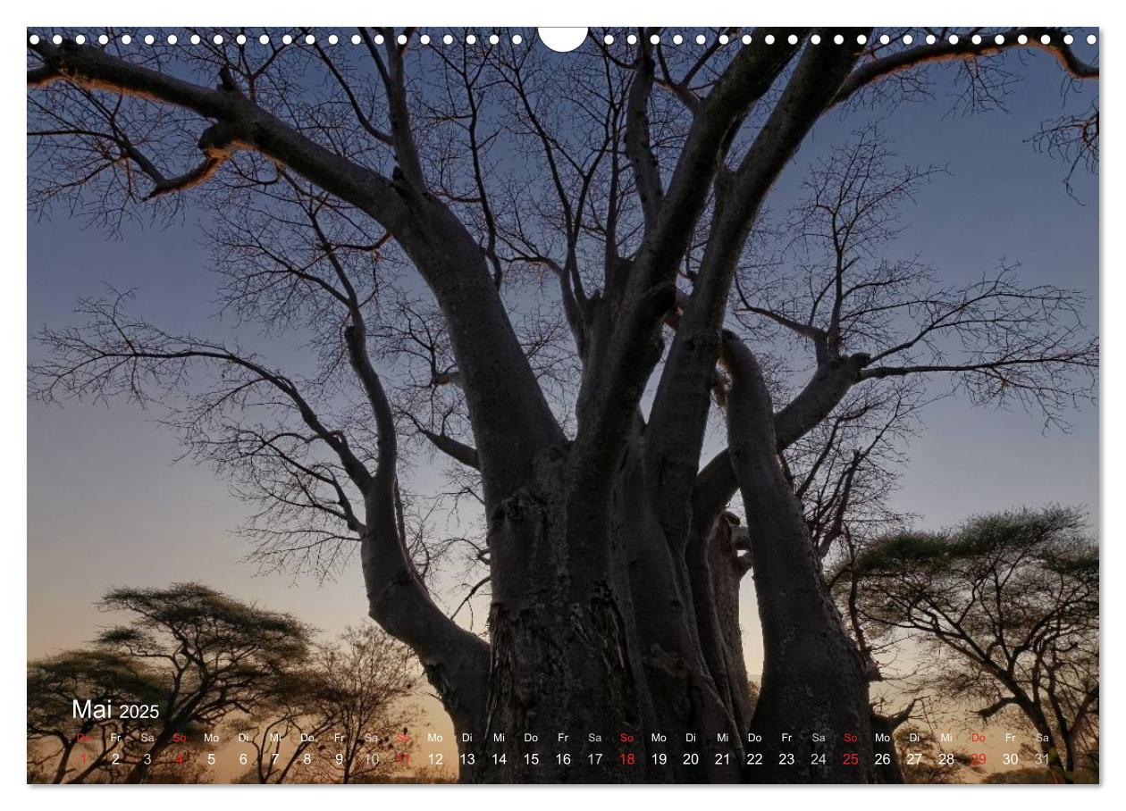 Bild: 9783435768813 | Zimbabwe (Wandkalender 2025 DIN A3 quer), CALVENDO Monatskalender