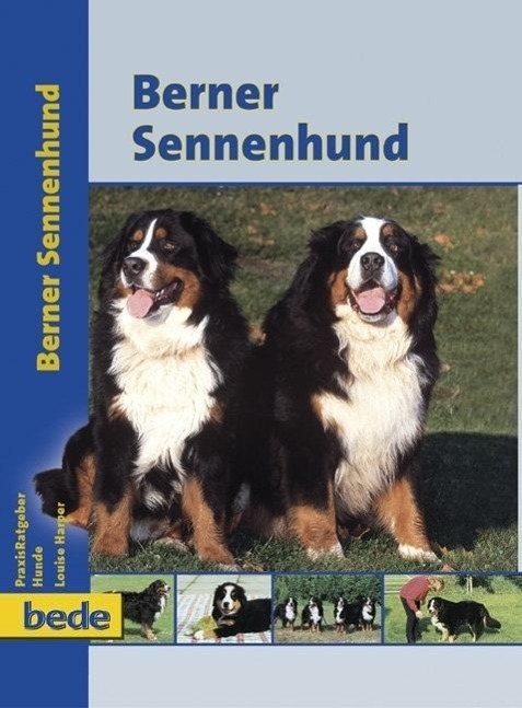 Cover: 9783898600637 | PraxisRatgeber Berner Sennenhund | Louise Harper | Buch | Deutsch