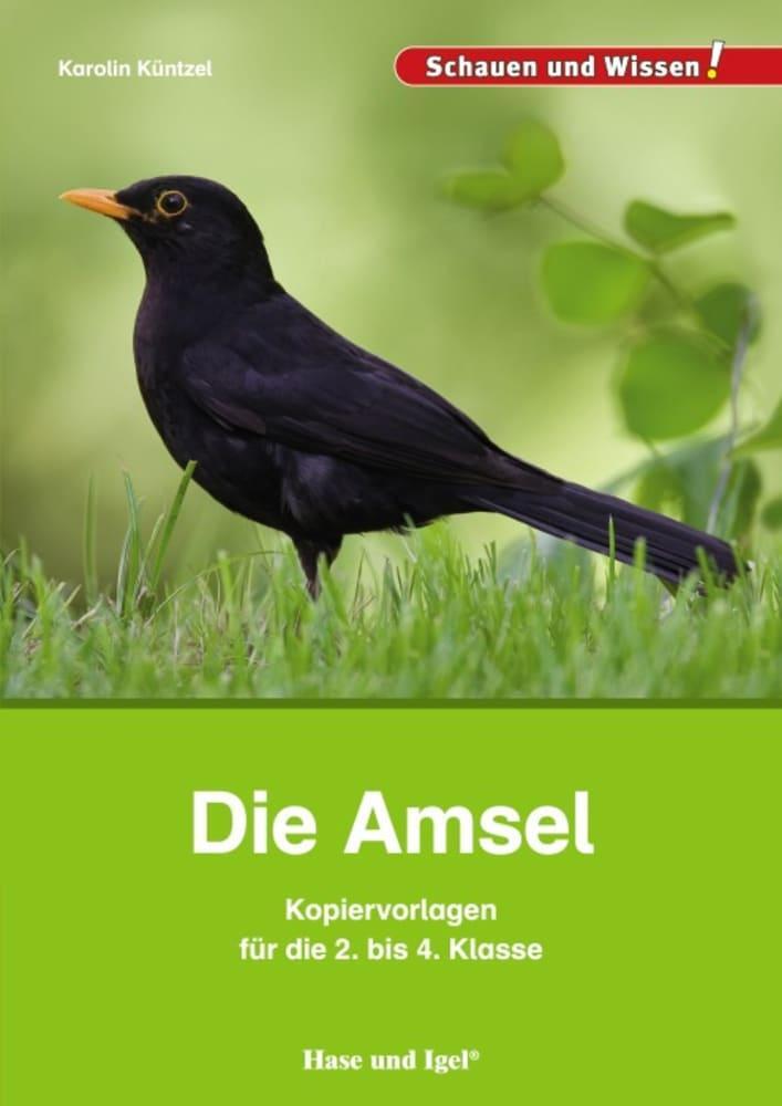 Cover: 9783863163556 | Die Amsel - Kopiervorlagen für die 2. bis 4. Klasse | Karolin Küntzel