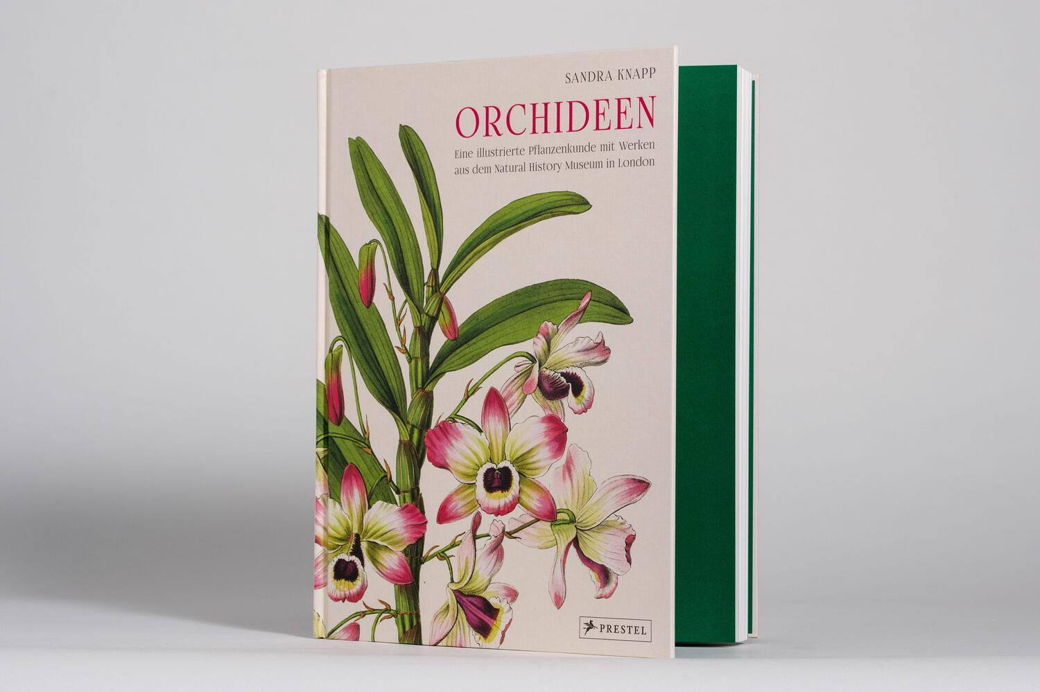Bild: 9783791388632 | Orchideen | Sandra Knapp | Buch | 160 S. | Deutsch | 2022 | Prestel