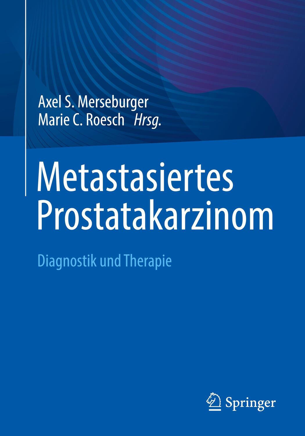 Cover: 9783662672969 | Metastasiertes Prostatakarzinom | Diagnostik und Therapie | Buch | vi