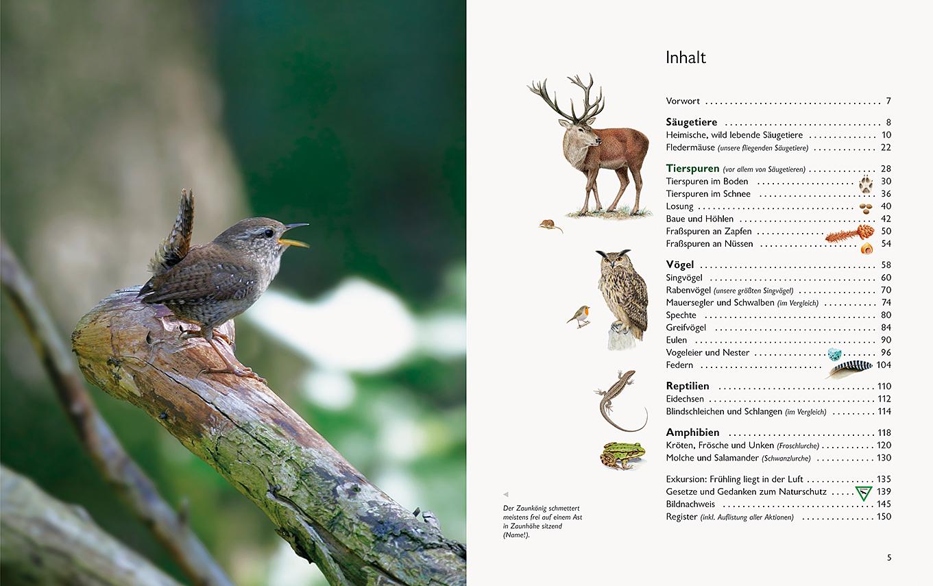 Bild: 9783981548570 | Wawra's Naturbuch, Band 1: Säugetiere, Vögel, Reptilien, Amphibien