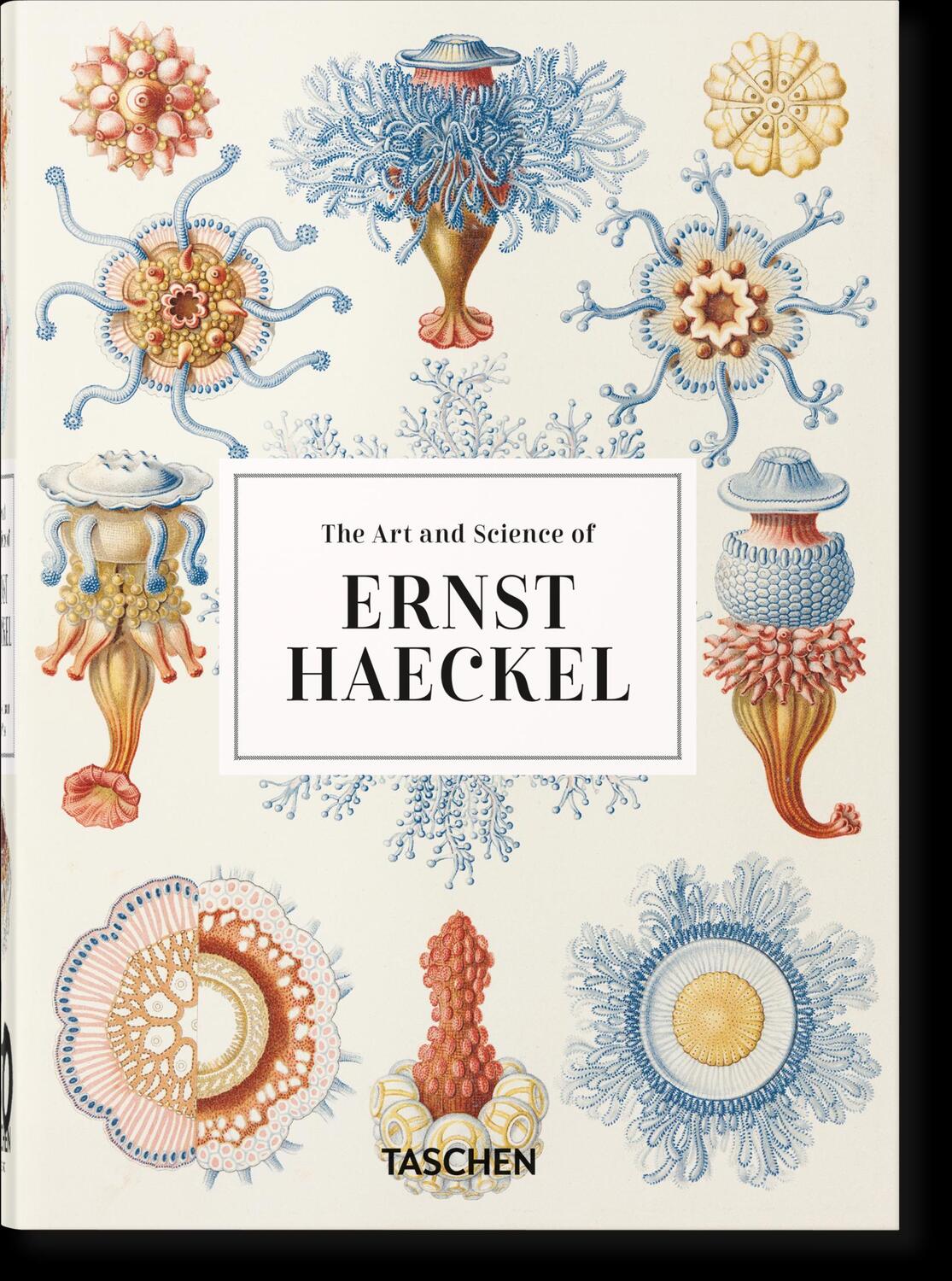 Cover: 9783836584265 | Ernst Haeckel. Kunst und Wissenschaft. 40th Ed. | Julia Voss (u. a.)