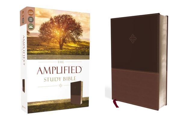 Cover: 9780310440802 | Amplified Study Bible, Imitation Leather, Brown | Zondervan | Buch