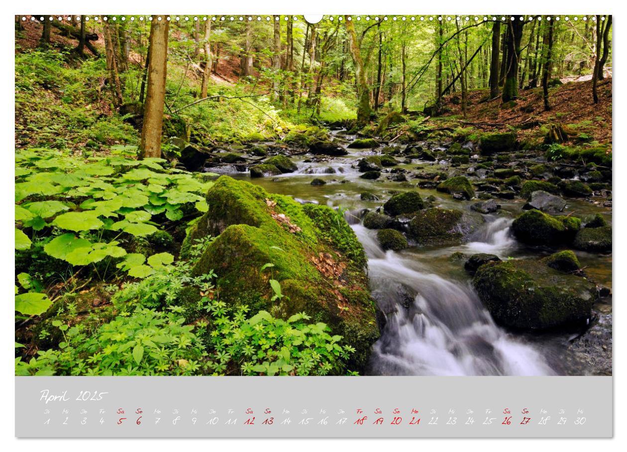 Bild: 9783435195602 | Thüringer Wald Das Grüne Herz Deutschlands (Wandkalender 2025 DIN...