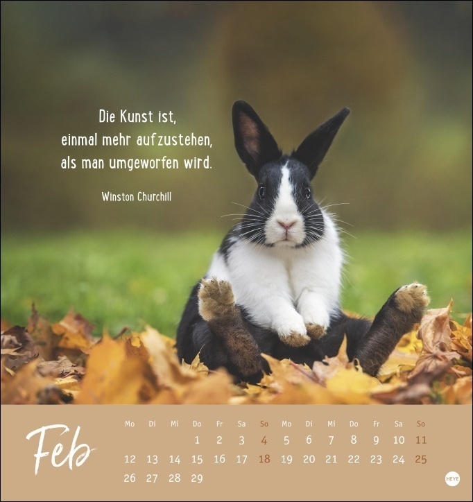 Bild: 9783756403332 | Never give up! Postkartenkalender 2024. Süße Tiere in einem...