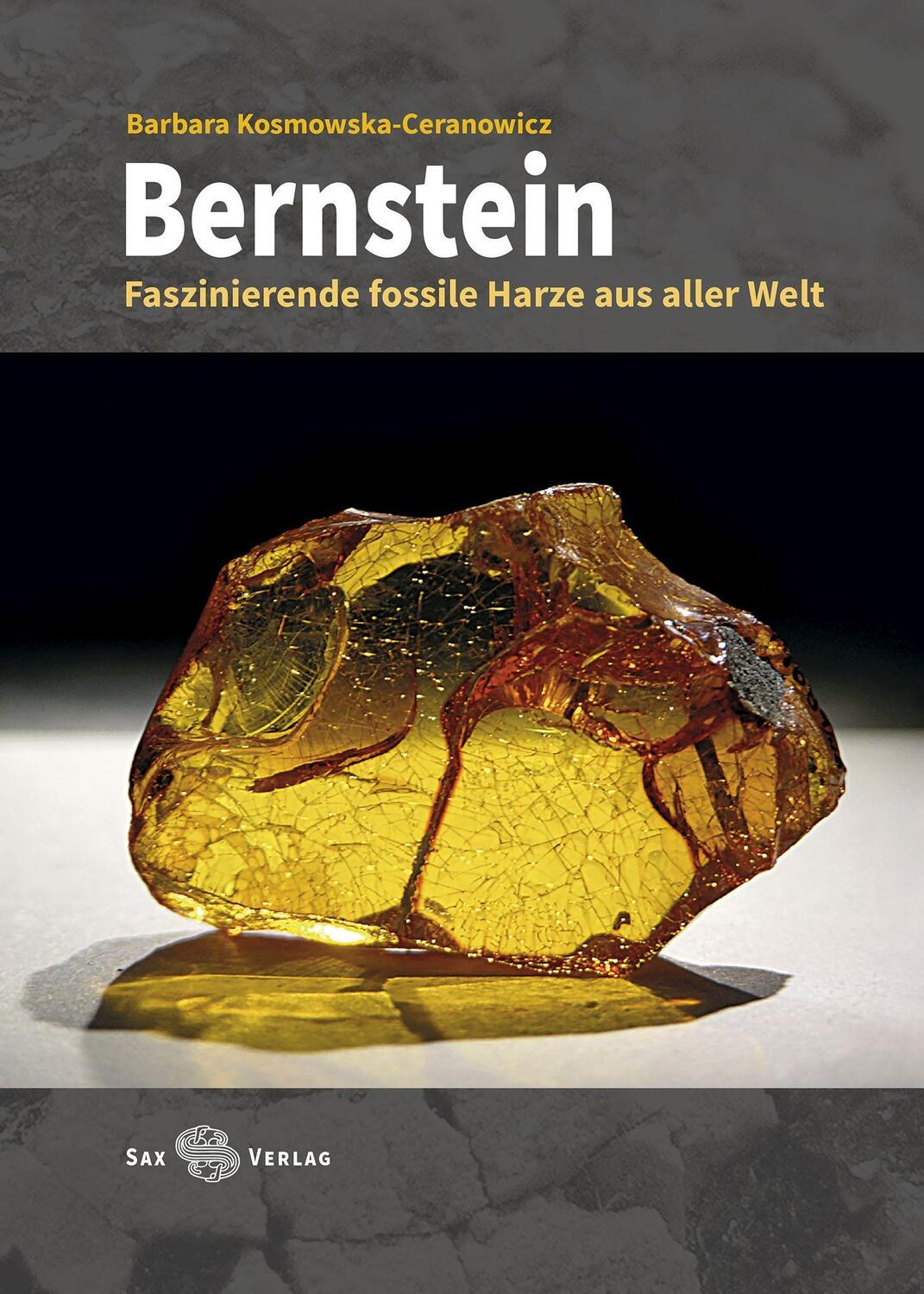 Cover: 9783867292443 | Bernstein | Faszinierende fossile Harze aus aller Welt | Buch | 2020
