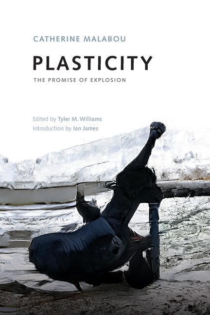 Cover: 9781474462129 | Plasticity | The Promise of Explosion | Catherine Malabou | Buch
