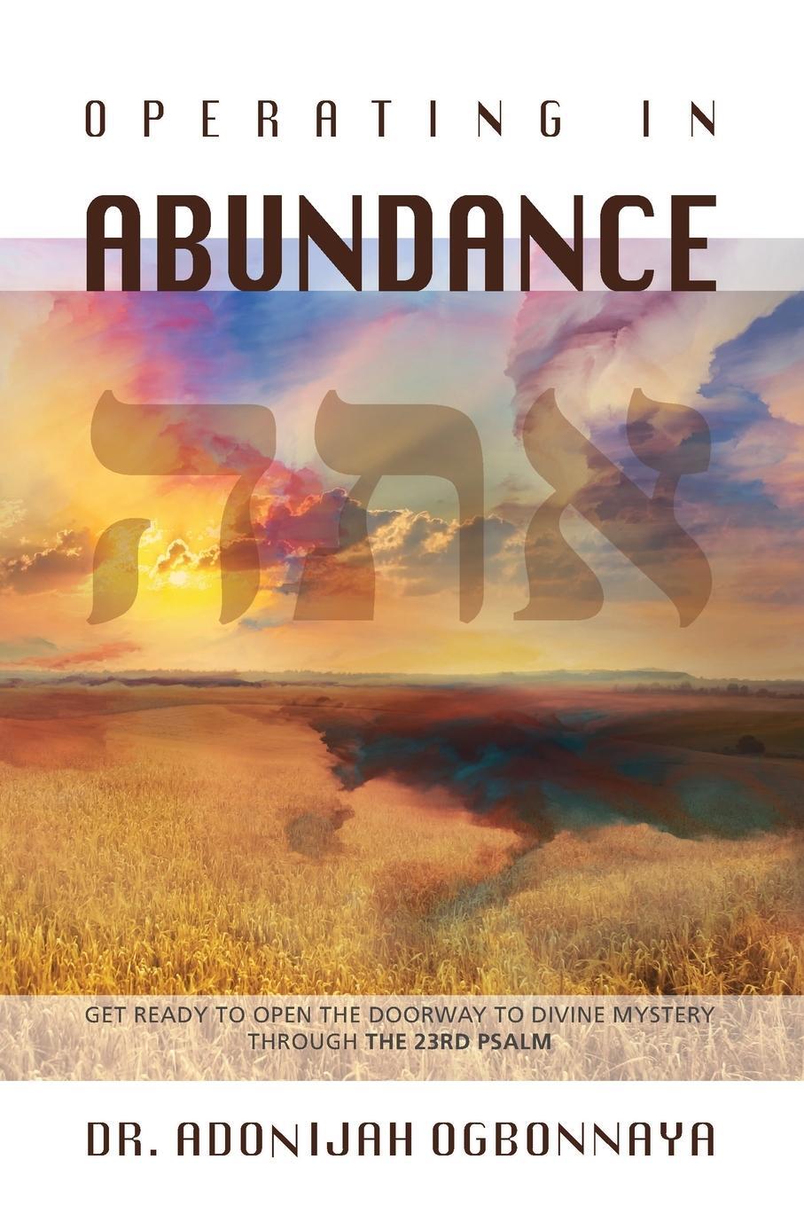 Cover: 9781922428042 | Operating in Abundance | Adonijah Ogbonnaya | Taschenbuch | Paperback