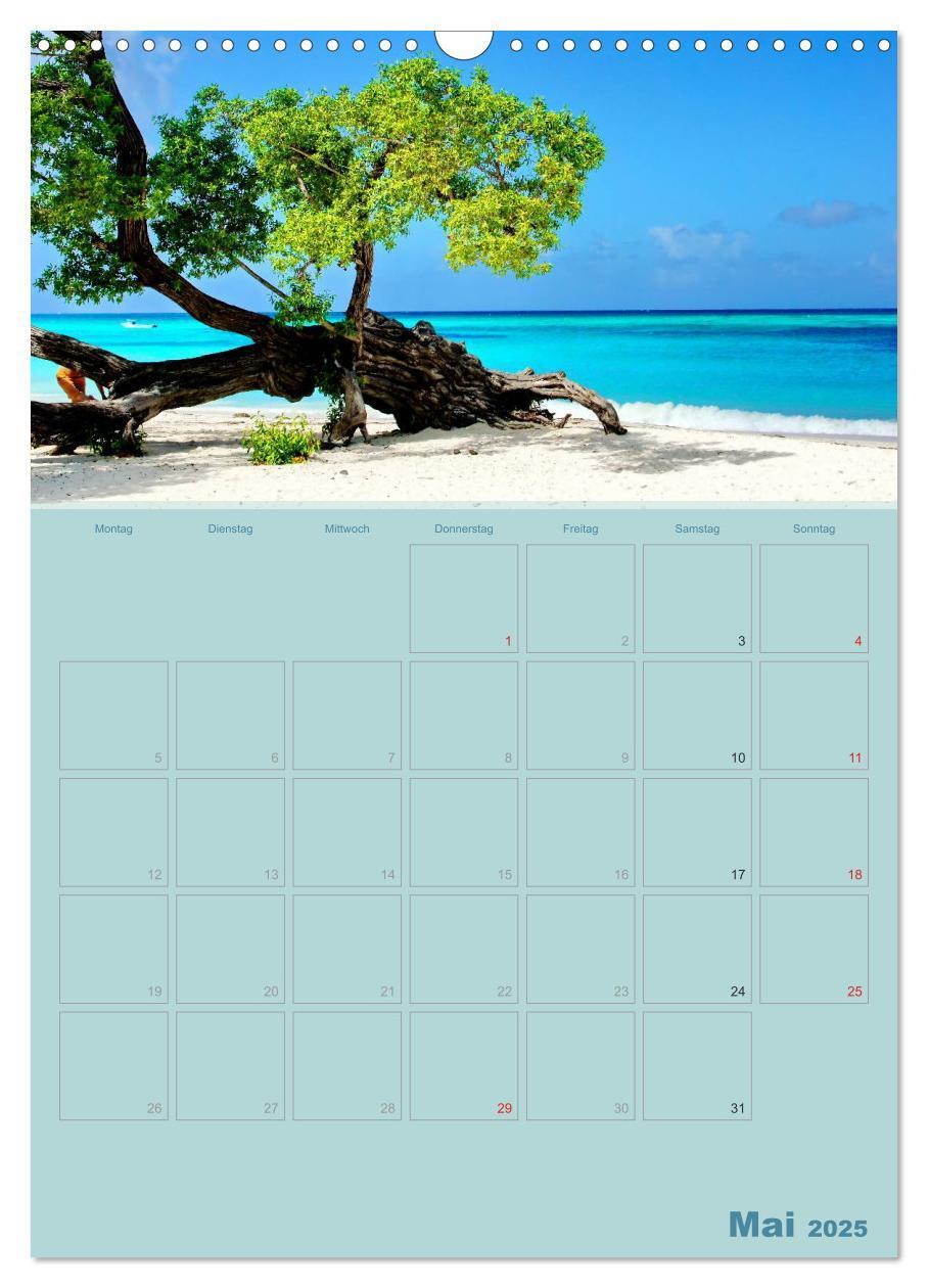 Bild: 9783457049389 | Karibik - Sonne, Strand und Palmen (Wandkalender 2025 DIN A3 hoch),...