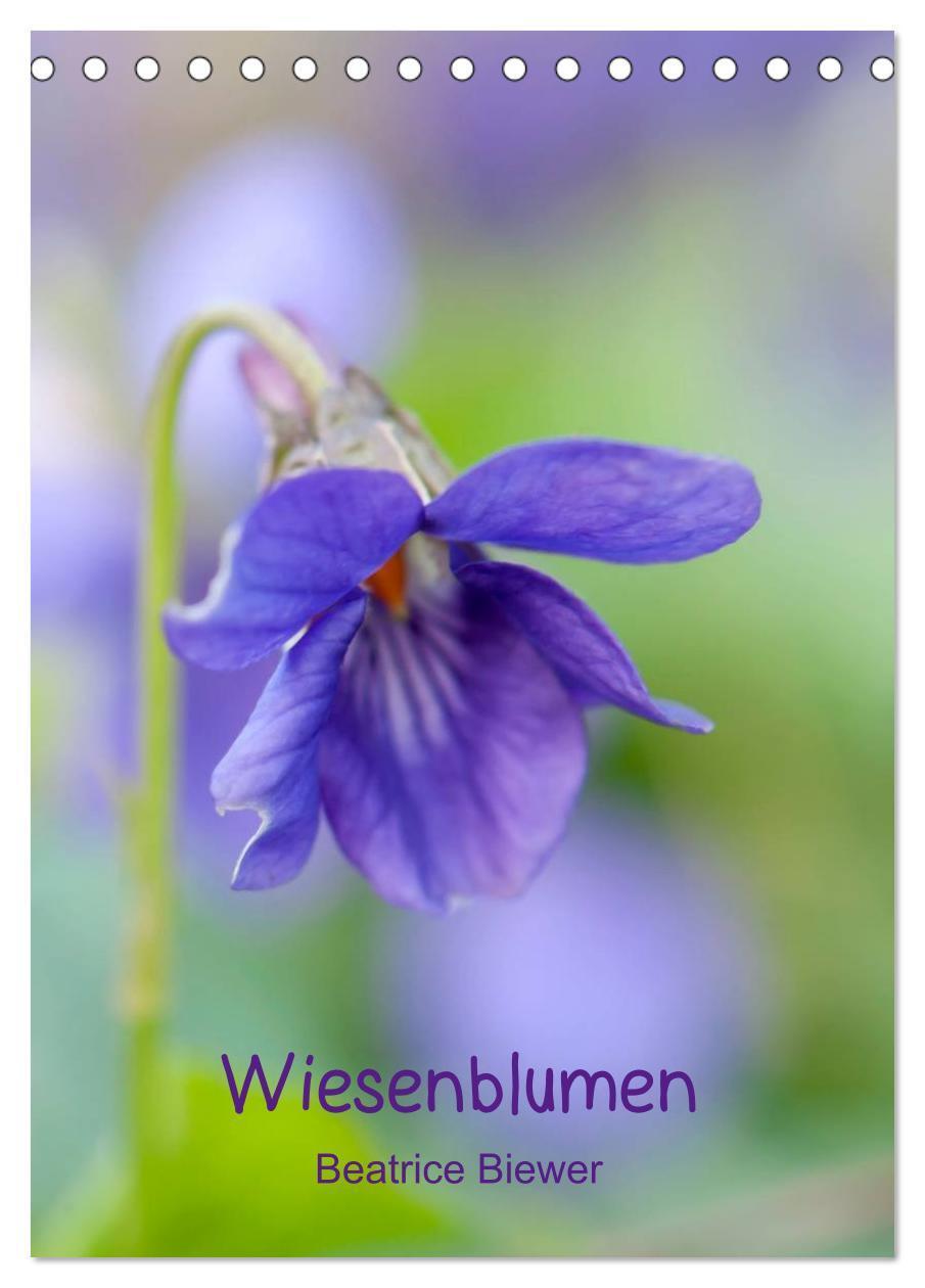 Cover: 9783457023877 | Wiesenblumen (Tischkalender 2025 DIN A5 hoch), CALVENDO Monatskalender