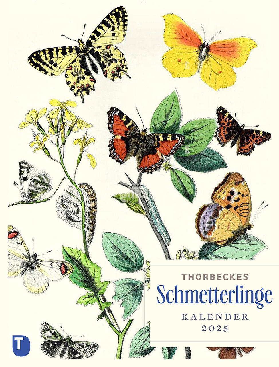 Cover: 9783799520492 | Thorbeckes Schmetterlinge-Kalender 2025 | Kalender | 56 S. | Deutsch