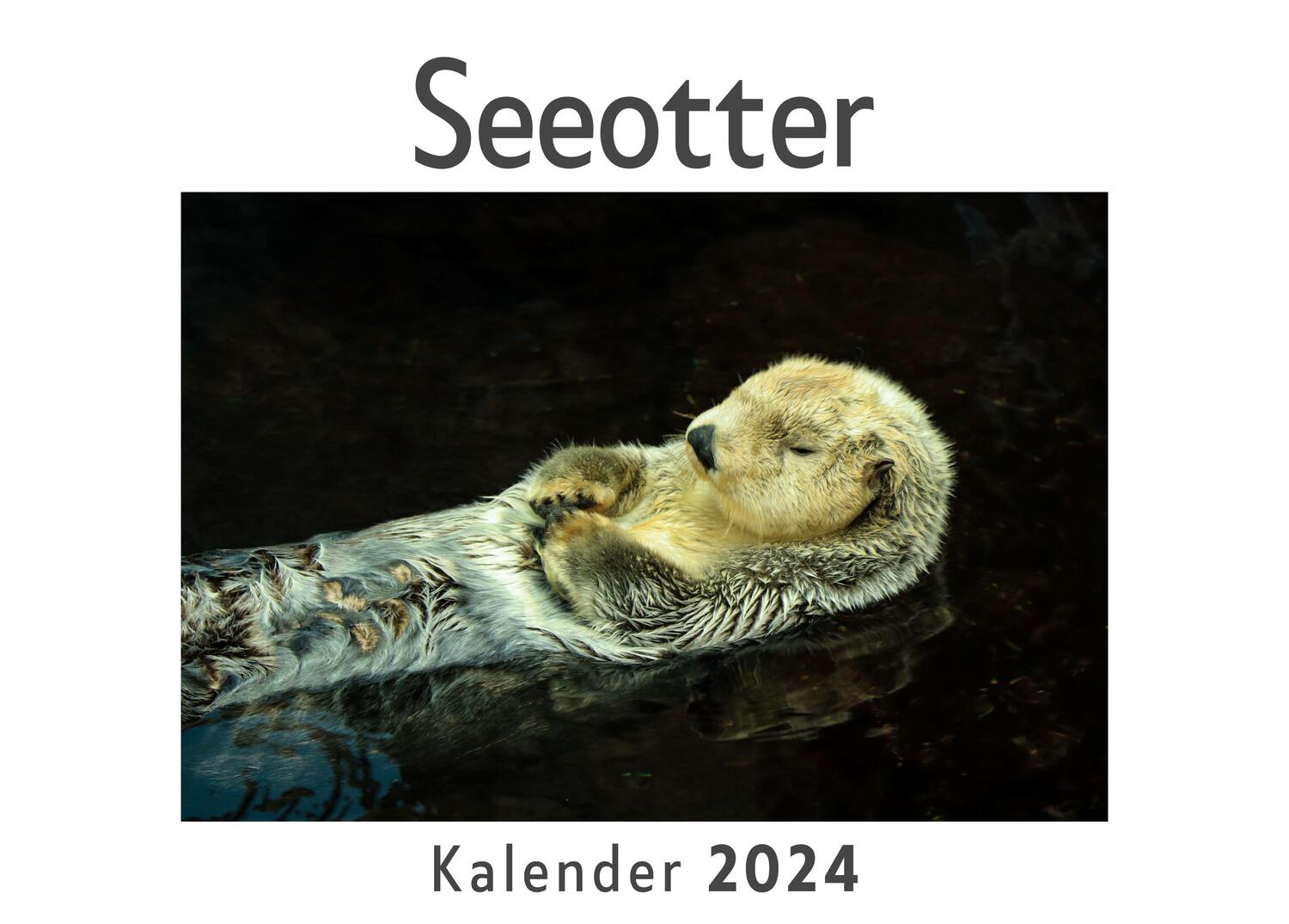 Cover: 9783750543317 | Seeotter (Wandkalender 2024, Kalender DIN A4 quer, Monatskalender...