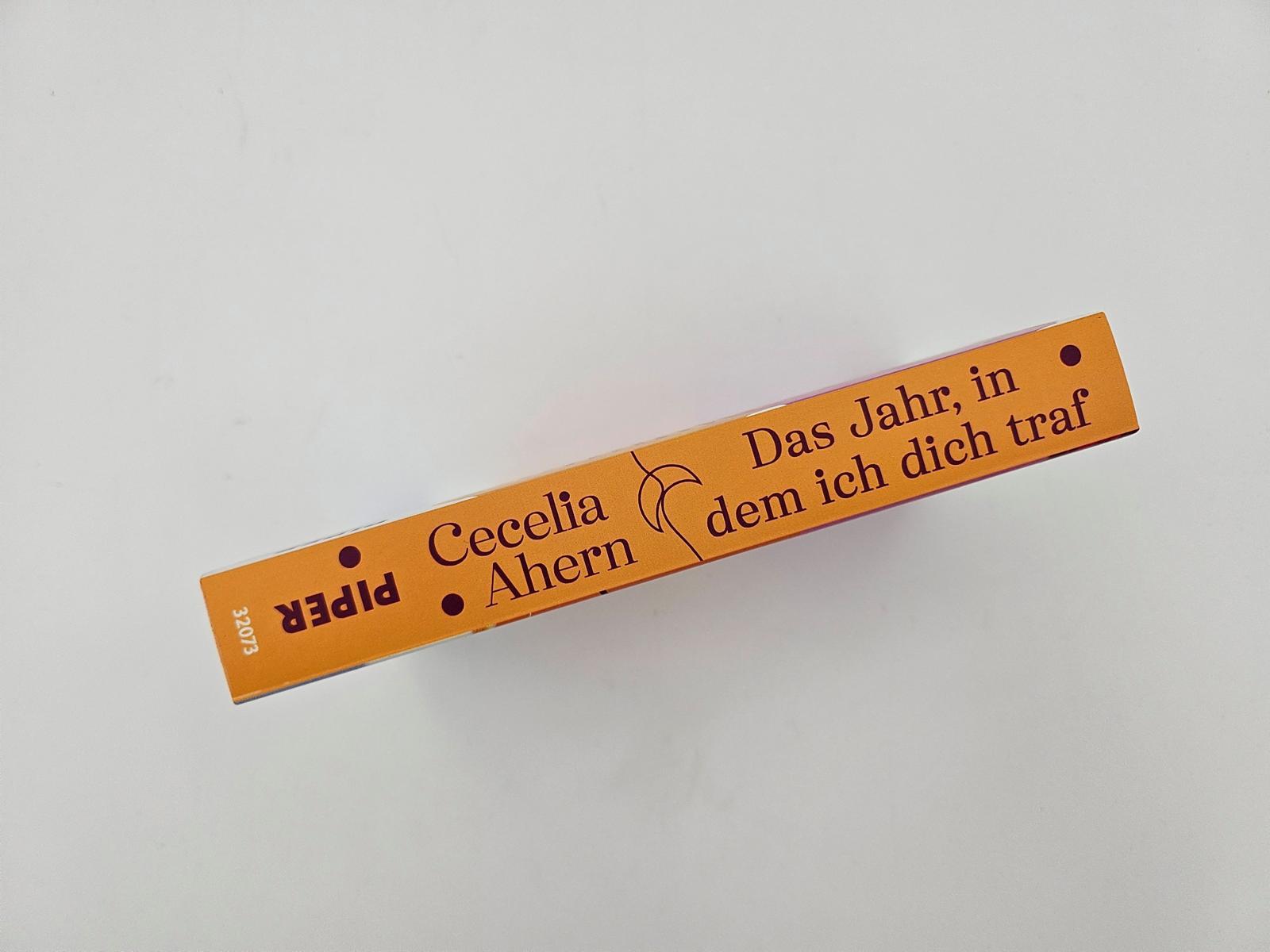 Bild: 9783492320733 | Das Jahr, in dem ich dich traf | Cecelia Ahern | Taschenbuch | 416 S.