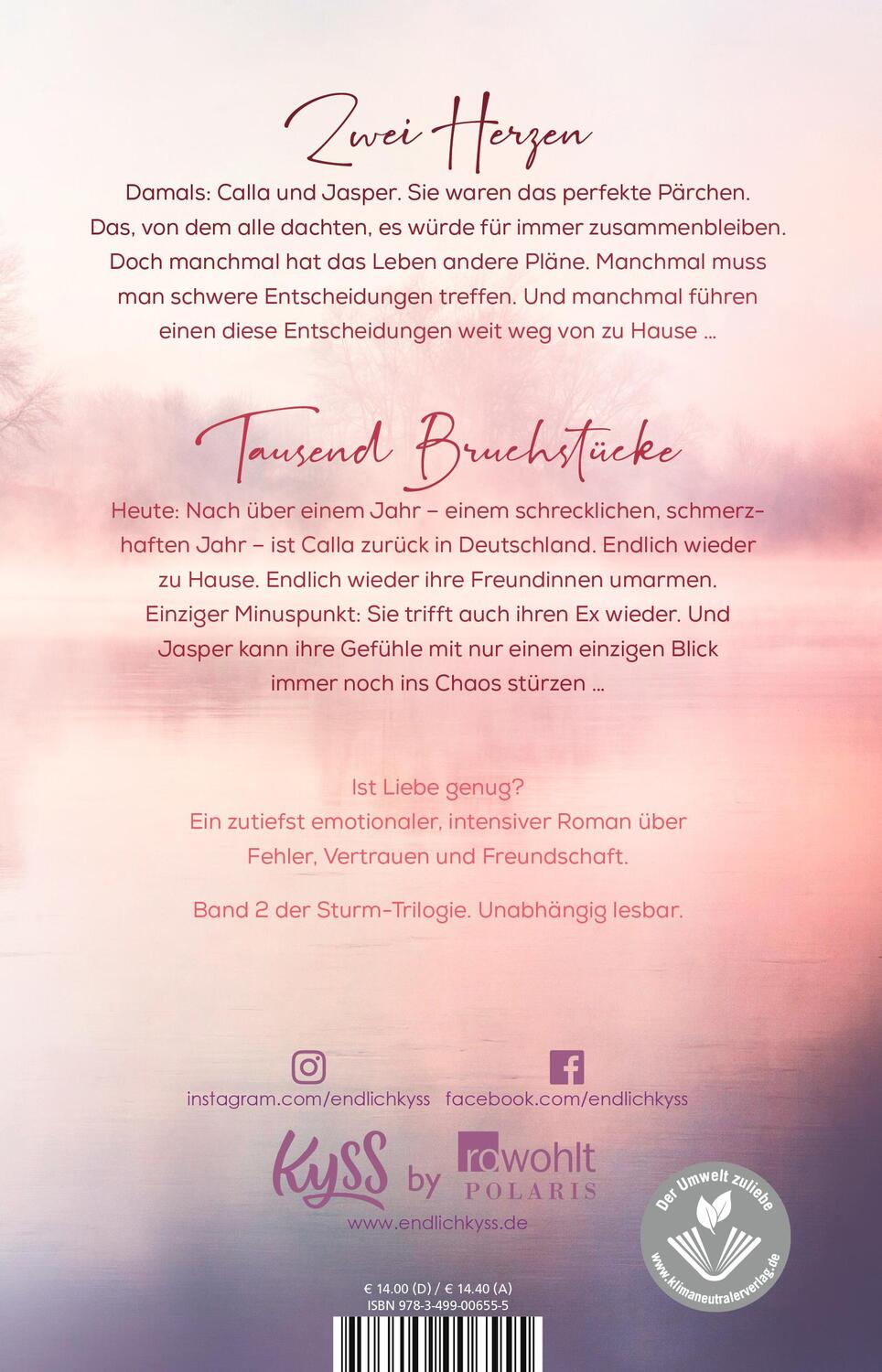 Rückseite: 9783499006555 | Nebelschimmer | Anya Omah | Taschenbuch | Sturm-Trilogie | Deutsch