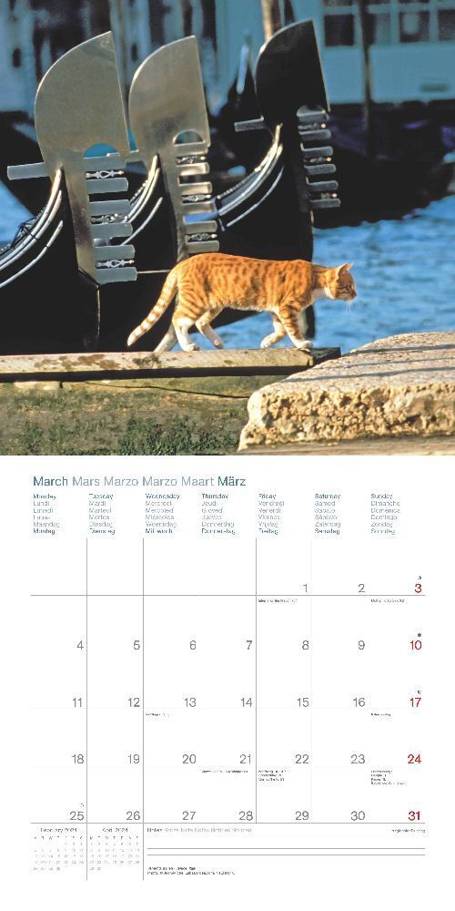 Bild: 4002725986870 | Cats Around the World 2024 - Wand-Kalender - Broschüren-Kalender -...