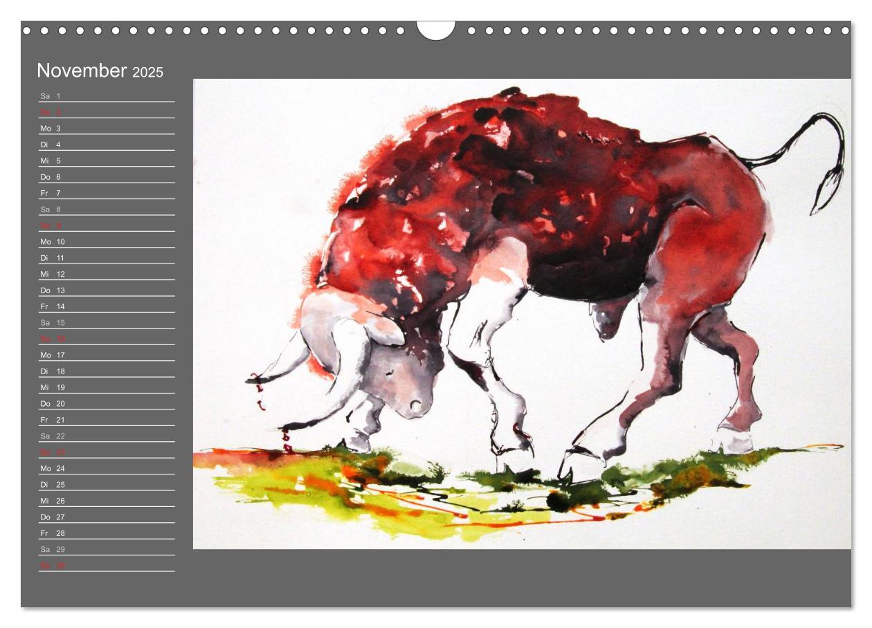 Bild: 9783435625406 | Sternbild Stier (Wandkalender 2025 DIN A3 quer), CALVENDO...