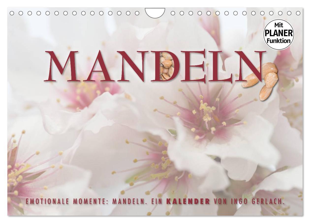 Cover: 9783435546091 | Emotionale Momente: Mandeln (Wandkalender 2025 DIN A4 quer),...