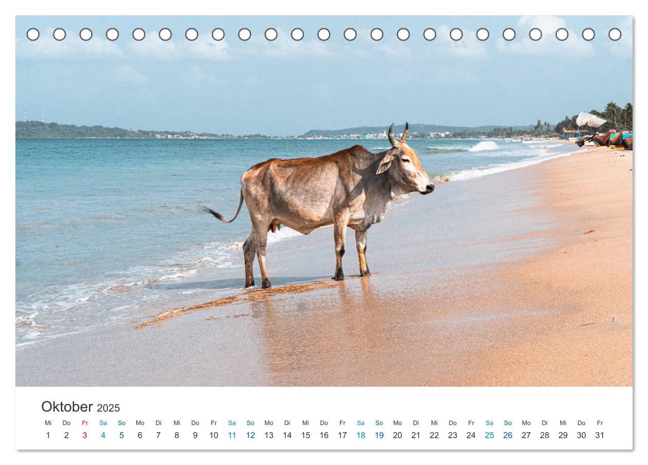 Bild: 9783435148707 | Traumziel Sri Lanka (Tischkalender 2025 DIN A5 quer), CALVENDO...