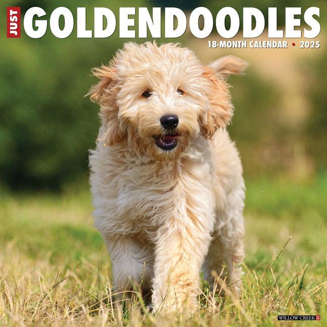 Cover: 9781549243127 | Just Goldendoodles 2025 12 X 12 Wall Calendar | Willow Creek Press