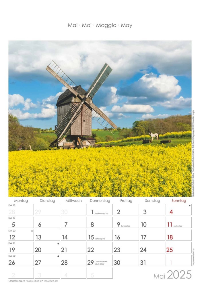 Bild: 4251732343361 | Thüringen 2025 - Bild-Kalender 23,7x34 cm - Regional-Kalender -...