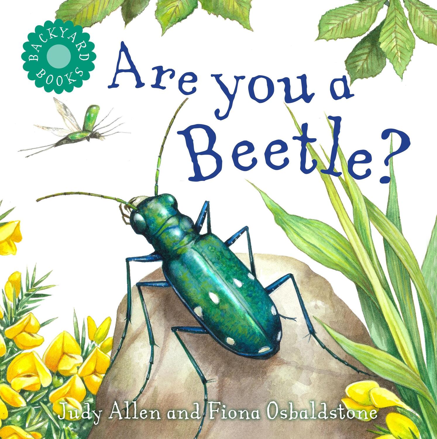Cover: 9780753474914 | Are You a Beetle? | Judy Allen | Taschenbuch | Backyard Books | 2019