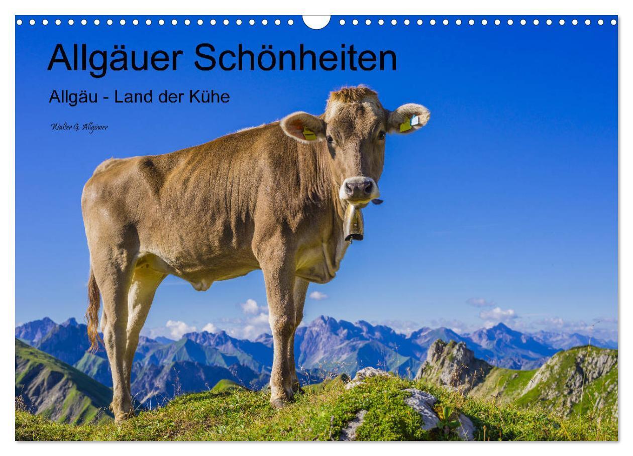 Cover: 9783383138317 | Allgäuer Schönheiten Allgäu - Land der Kühe (Wandkalender 2024 DIN...