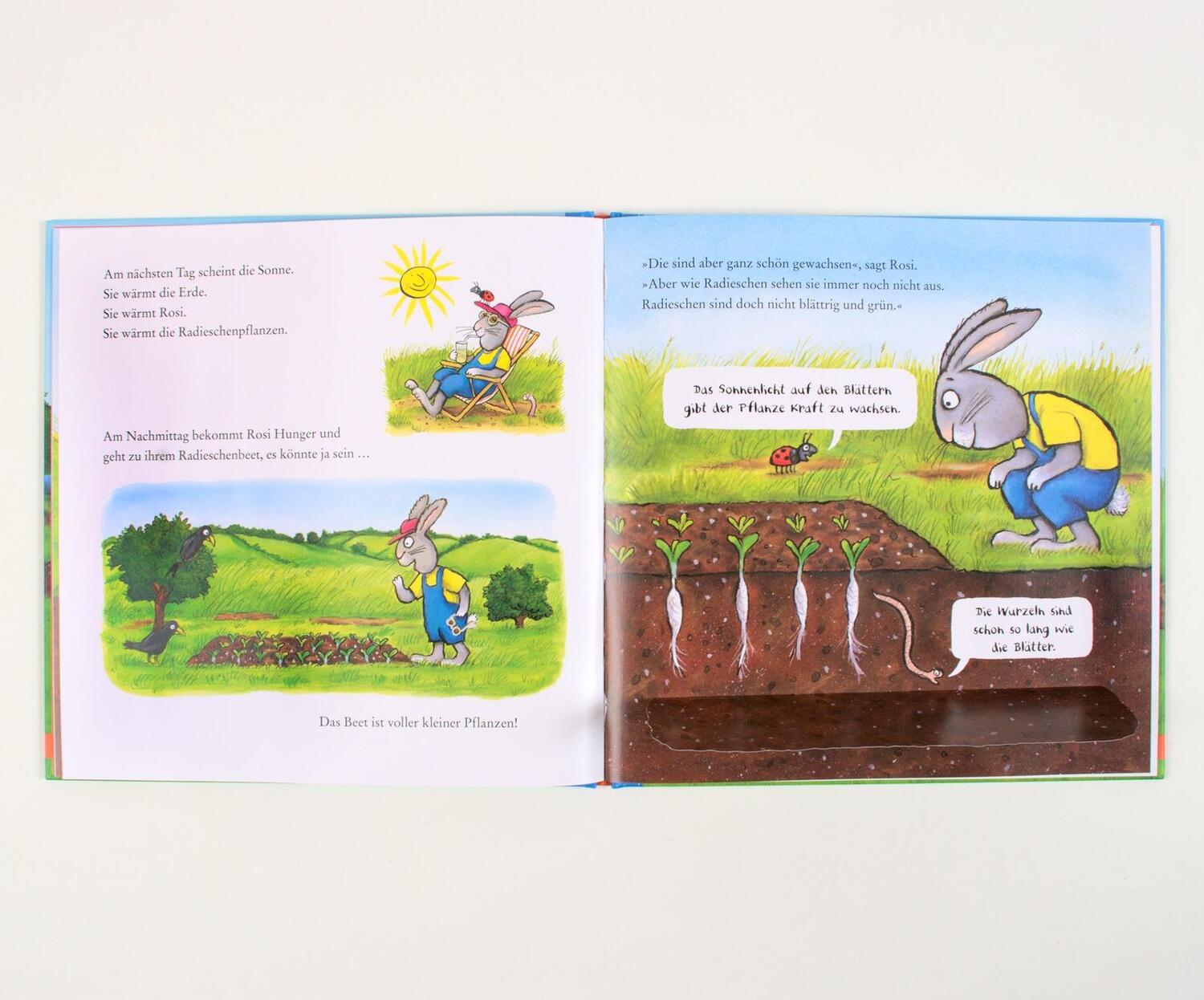 Bild: 9783407758873 | Rosi pflanzt Radieschen | Axel Scheffler | Buch | 16 S. | Deutsch