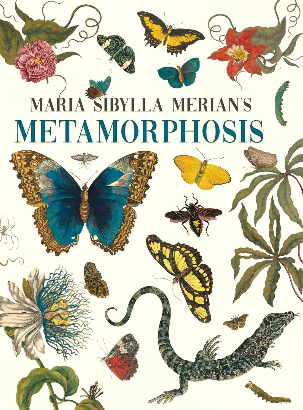 Cover: 9781528773423 | Maria Sibylla Merian's Metamorphosis | Emily Gillis | Buch | Englisch