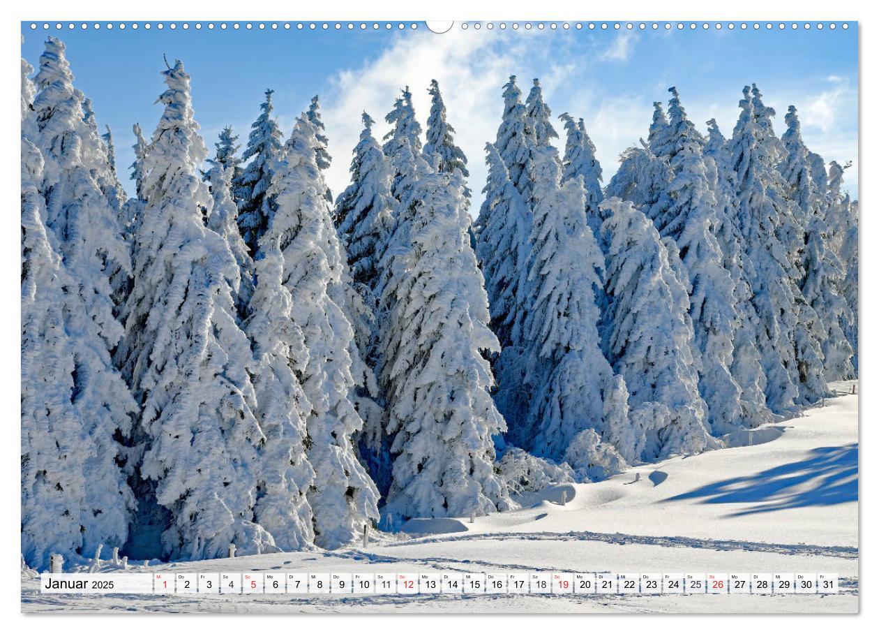 Bild: 9783435316861 | Winter. Zauberhafte Schneelandschaften (Wandkalender 2025 DIN A2...