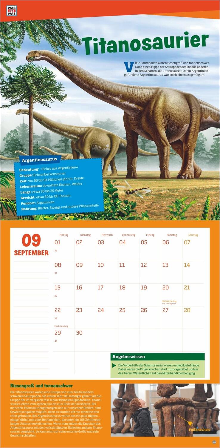 Bild: 9783756408412 | WAS IST WAS Dinosaurier Broschurkalender 2025 | Kalender | 28 S.