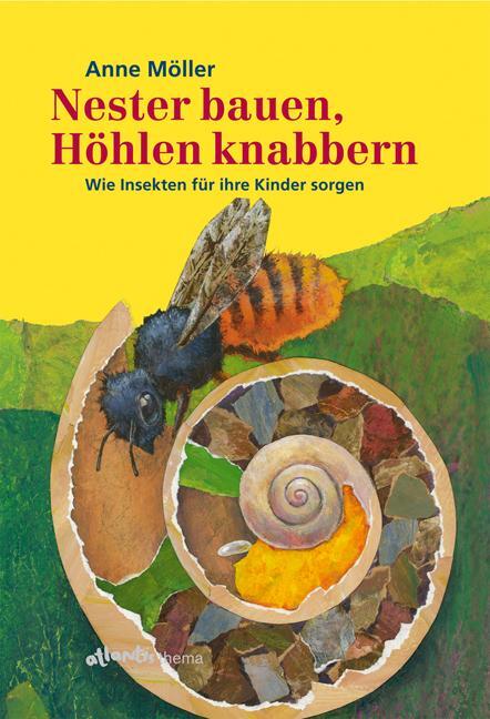 Cover: 9783715204864 | Nester bauen, Höhlen knabbern | Wie Insekten für ihre Kinder sorgen