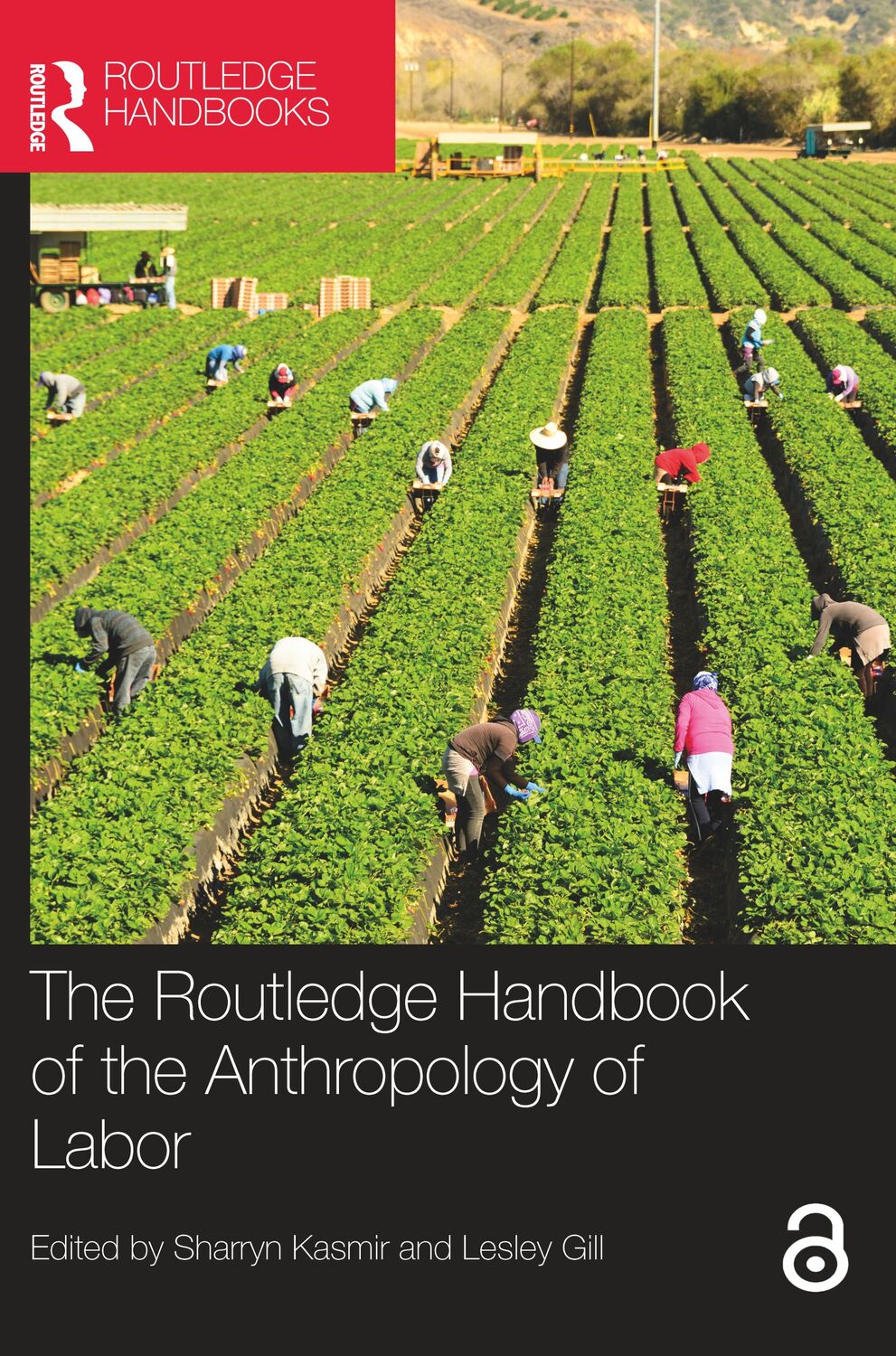 Cover: 9780367745516 | The Routledge Handbook of the Anthropology of Labor | Kasmir (u. a.)