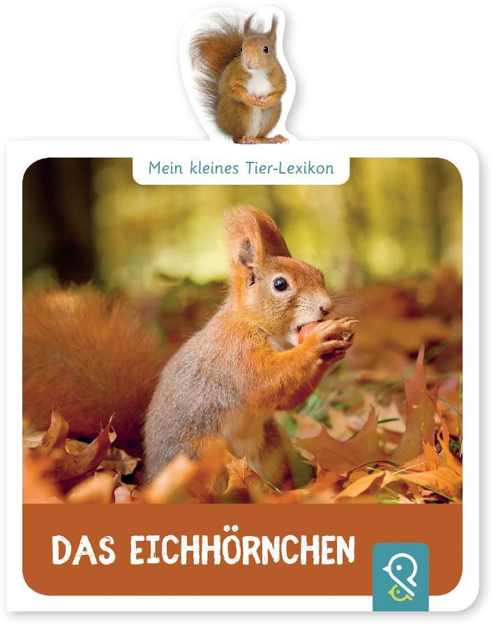 Cover: 9783946360063 | Mein kleines Tier-Lexikon - Das Eichhörnchen | Hannah Kastenhuber
