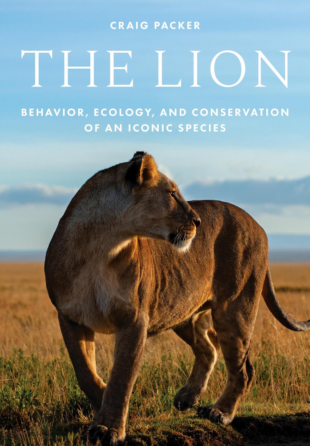 Cover: 9780691215297 | The Lion | Behavior, Ecology, and Conservation of an Iconic Species
