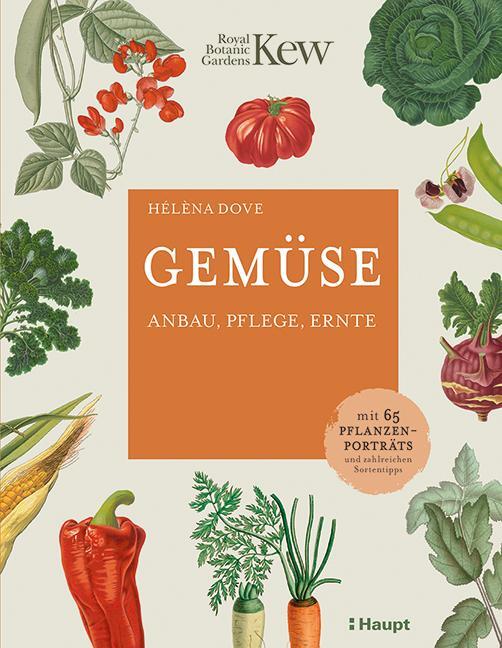 Cover: 9783258082226 | Gemüse | Hélèna Dove | Buch | Deutsch | 2021 | Haupt Verlag AG